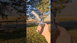 Smith&Wesson 686 .357 Revolver