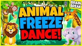 Animal Freeze Dance! | Brain Breaks For Kids | Animal Games For Kids | Move and Freeze | GoNoodle