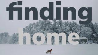 Finding Home (2021) Original Score | Film Music | Frank Jacobs Music.