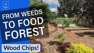 Wood Chips - Converting a Florida Yard to a Garden and Food Forest