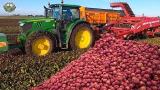 704 Million Pounds Of Red Beets Are Harvested By American Farmer This Way  | Agriculture Technology