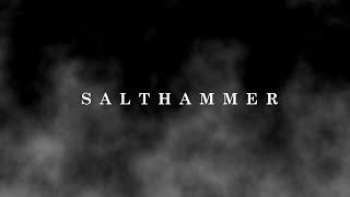 Welcome to Salthammer