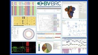 Introduction to BV-BRC