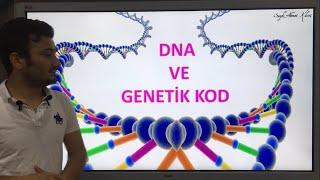 DNA ve genetik kod 8.sınıf