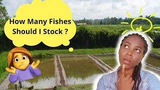 HOW TO CALCULATE CATFISH STOCKING DENSITY in 2021 | #catfishfarming #thefarmlady #nigeria