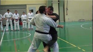 Shorin Ryu Karate Do - Okinawan Kobudo - Self Defense