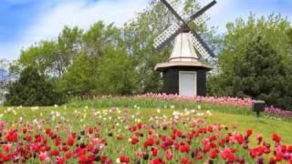 Urlaub in Holland mit einem Ferienhaus von FeWo-Direkt.de