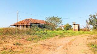 Senhor Valdemar Escondia Ouro no Assoalho da Casa e Colocou Cobras Para Proteger Suas Riquezas