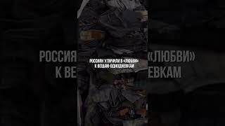 Шокирующая правда о гардеробе россиян: исследование Юлы