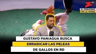 Gustavo Paniagua busca erradicar las peleas de gallos en RD