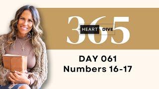 Day 061 Numbers 16-17 | Daily One Year Bible Study | Audio Bible Reading with Commentary