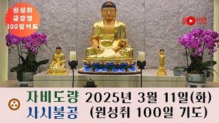 자비도량 실시간 사시불공 & 원성취 100일 기도