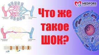 Что же такое ШОК?