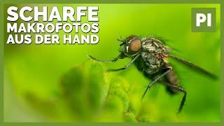 5 Tipps für scharfe Makrofotos aus der Hand | Insektenfotografie