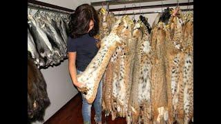 FRESH PELTS ARE READY FOR THE NEW FUR SEASON