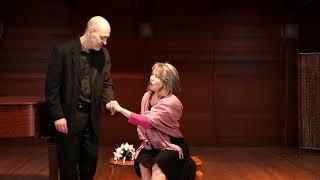 Donizetti's Don Pasquale Duet "Tornami a dir che m'ami"