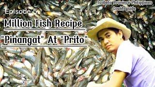 I cooked Million Fish with 2 Recipes| Jet Joves #Millionfish#vlogs #pinangatnaisda #provincelife