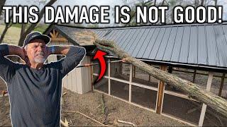 My Chicken Coop Survived a TORNADO! (This is the Damage...)