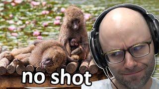 Northernlion questions how monkeys migrated