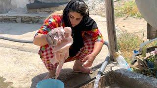 Cooking liver, kidney and heart of lamb in IRAN village style