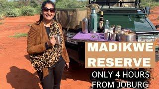 Our first time at Madikwe Game Reserve | Jaci's Lodges | Travel Vlog | South African YouTuber