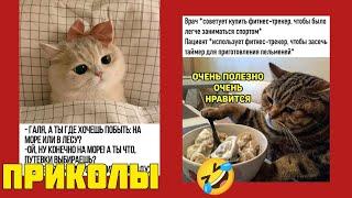 Позитив на максимум! Эти мемы заряжают энергией на весь день! смешные картинки приколы котики 