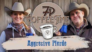 Aggresive Pferde | 7P CoffeeTime 
