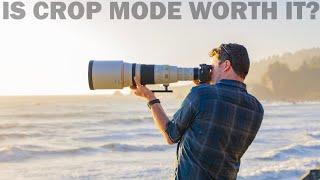 Wildlife photography with an 800mm F/4?
