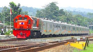 KERETA API PANJANG‼️ MENEMUKAN 22 KERETA API DI STASIUN DAN TIKUNGAN