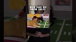 싸이코패스 테스트 48탄