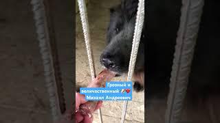 23.05.2025 Мишаня парень непредсказуемый, тот случай когда «внешность обманчива»)))