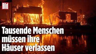 Verzweifelter Kampf gegen das Feuer in Los Angeles