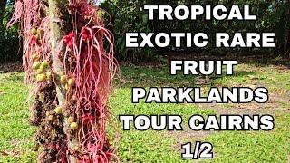 Local Guide Tropical Rare Exotic Fruit Tour Cairns Australia 1/2