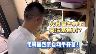 究竟是怎樣的莫灣基色料？毛哥居然親自手開窗！| 翡翠 | 翡翠原石 | 翡翠賭石 | 翡翠玉石 | 玉石