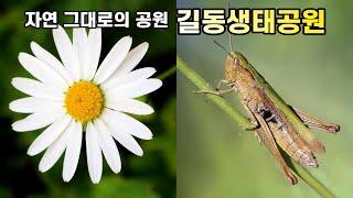 자연 그대로의 공원 길동생태공원