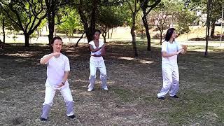 Sequência Básica Tai Chi Chuan