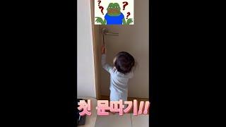 [육아브이로그]흑호, 문따고 이별까지...
