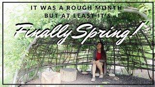 Aspects of Spring | Dear Diary