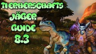 WOW | TIERHERSCHAFTS JÄGER GUIDE | 8.3 | GERMAN | BROKKEN