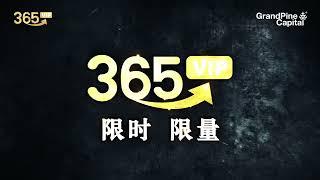 365VIP隆重登场：随时随地一年365日追踪独家股市热点