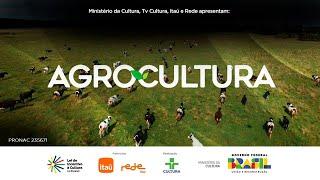 Agrocultura | Paraná: uma viagem pela tradição do agronegócio | 27/10/2024