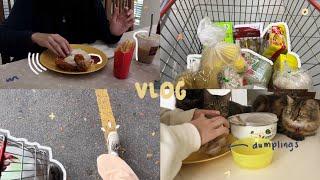 days in my life: mcdonalds fried chicken, grocery shopping, yes, rice, yes im malaysian tiber