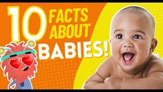 10 Things You Might Not Know About Babies