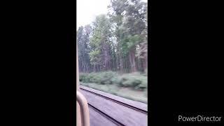 Train View of Kushmi Jungle Gorakhpur (UP) | #gorakhpur #jungle Kushmi jungle ka nazara 