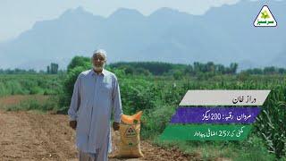 Daraz Khan | Mardan | Maize Crop | Sarsabz Fertilizer