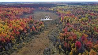 Fall Colors Drone Stock Footage V5