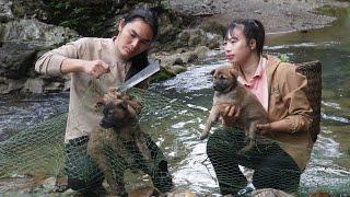 Rescuing 2 puppies caught in fishing nets, farm life , SURVIVAL ALONE