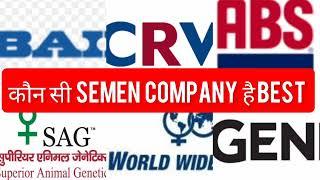 WHICH SEMEN COMPANY IS BESTABS || SAG|| WWS || BAIF ||CRVFULL DETAILS#mannfarms