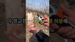 나무 가지를 안전하게 자르는 스마트 도구