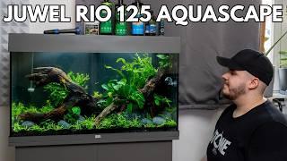 Juwel Rio 125 Aquascape Aquarium einrichten!